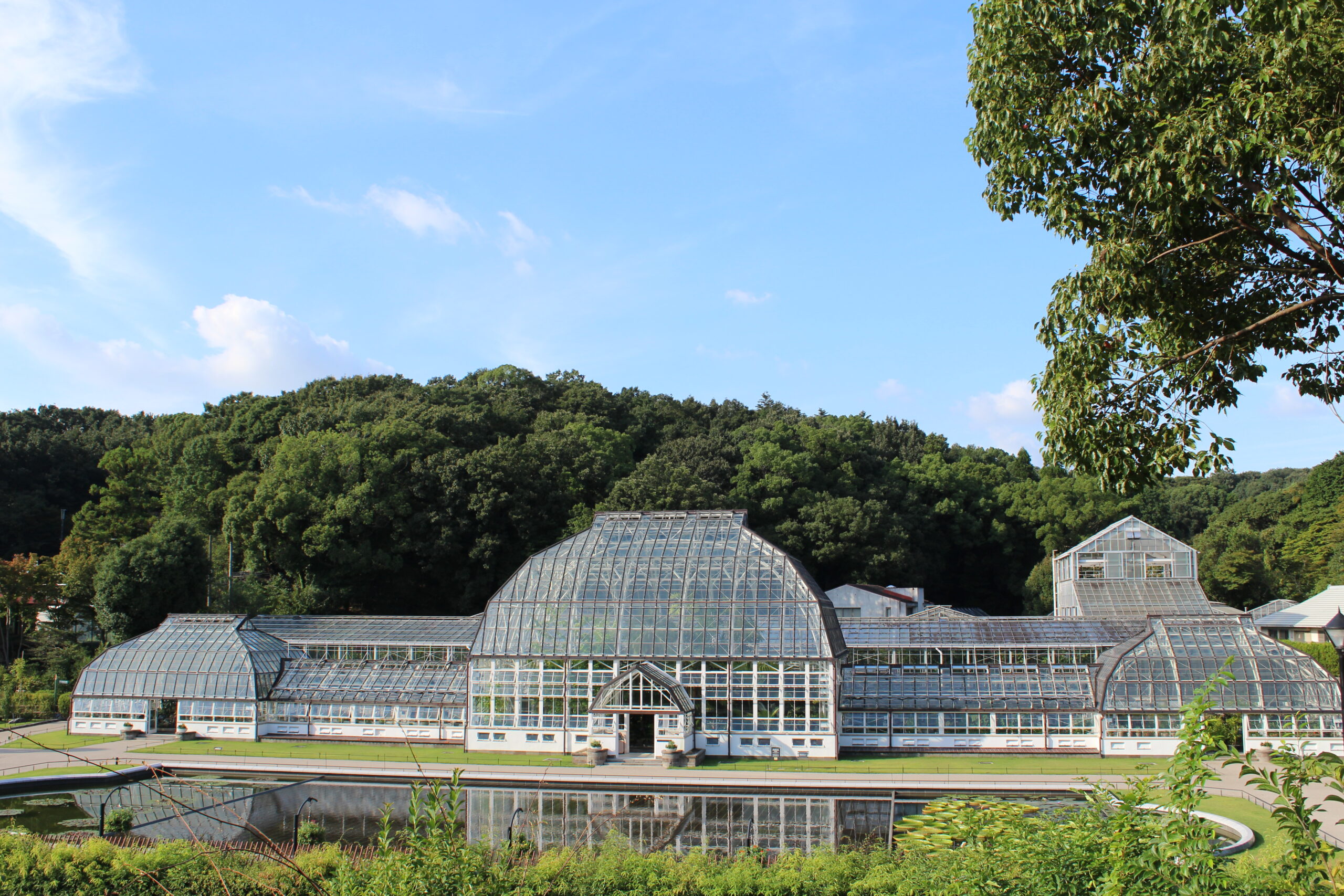 東山動植物園　温室前館